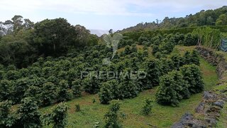 Land for sale in Velas, Portugal — €55,000