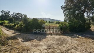 Terreno em Santarém · 4480 m² · 24 000 €
