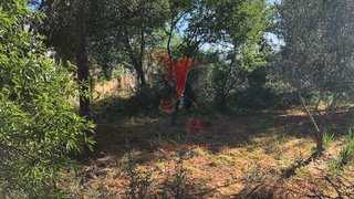 Land for sale in Olhão, Portugal — €480,000