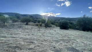 Land for sale in Vila Nova de Foz Côa, Portugal — €20,000