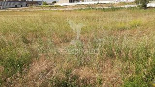 Land for sale in Cartaxo, Portugal — €450,000
