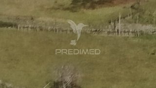 Land for sale in Resende, Portugal — €25,000