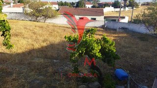 Land for sale in Serpa, Portugal