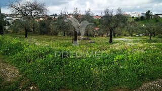 Terreno de 1800 m² em Leiria