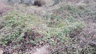 Land for sale in Peso da Régua, Portugal — €26,000