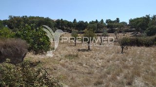 Land for sale in Portalegre, Portugal — €63,500