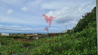 Land for sale in Praia da Vitória, Portugal — €70,000