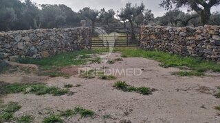 Land for sale in Alcanena, Portugal — €13,500