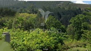 Land for sale in Sever do Vouga, Portugal — €55,000