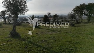 Terreno de 50 000 m² em Portalegre