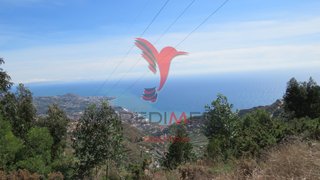 Land for sale in Câmara de Lobos, Portugal — €65,000
