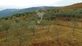 Land for sale in Vila Real, Portugal — €80,000