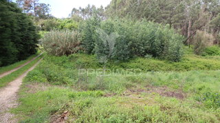 Land for sale in Ferreira do Zêzere, Portugal — €26,000