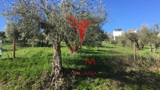 Land for sale in Ponte de Sor, Portugal — €45,000