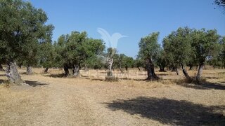 Land for sale in Alcácer do Sal, Portugal — €45,000