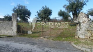 Land for sale in Nisa, Portugal — €150,000