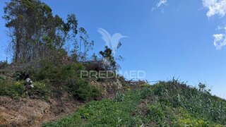 Land for sale in Ribeira Brava, Portugal — €180,000