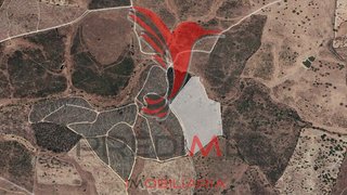 Land for sale in Nisa, Portugal — €32,500
