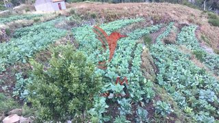Terreno · 2000 m² · 135 000 €