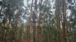 Land for sale in Fafe, Portugal — €8,500