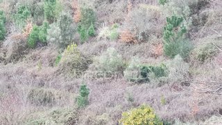 Land for sale in Peso da Régua, Portugal — €12,500