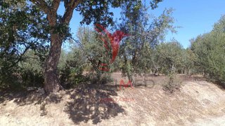 Land for sale in Nisa, Portugal — €19,000
