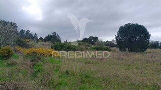 Terreno em Mora