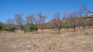 Land for sale in Loulé, Portugal — €58,000