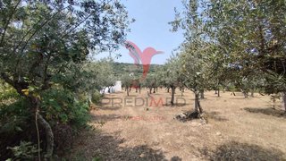 Terreno em Castelo de Vide
