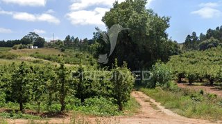 Land for sale in Cadaval, Portugal — €30,000