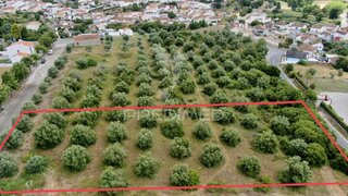 Land for sale in Cartaxo, Portugal — €45,000