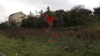 Terreno de 19 490 m² em Coimbra
