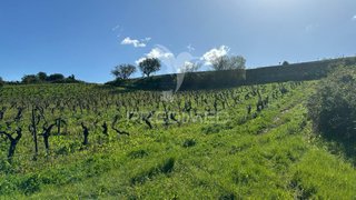Land for sale in Rio Maior, Portugal — €30,000