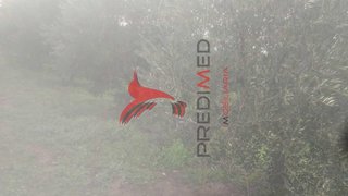 Terreno em Armamar