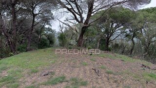 Land for sale in Santiago do Cacém, Portugal — €285,000