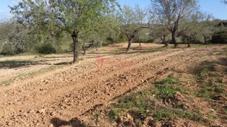 Land for sale in Loulé, Portugal — €35,000