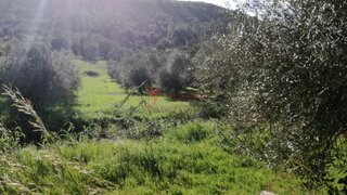 Terreno para venda em Loulé, Portugal — 26 600 €