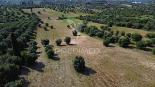 Land for sale in Torres Novas, Portugal — €37,000