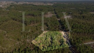 Land for sale in Cantanhede, Portugal — €35,000