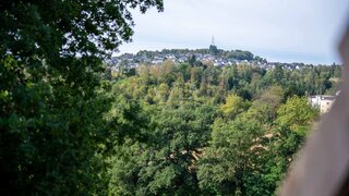 casafari-bild