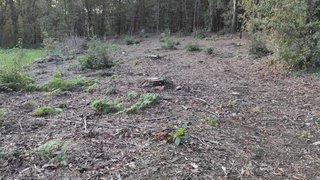 Land for sale in Amares, Portugal — €16,500