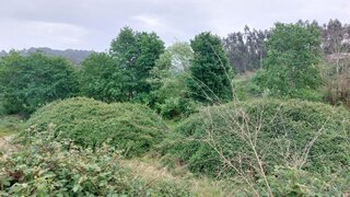 Land for sale in Vieira do Minho, Portugal — €42,450