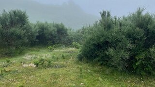 Land for sale in Vieira do Minho, Portugal — €15,750