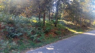 Land for sale in Amares, Portugal — €156,500
