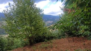 Land for sale in Vieira do Minho, Portugal — €55,000