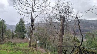 Land for sale in Terras de Bouro, Portugal — €25,000