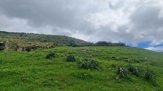 Terreno de 9706 m² em Vieira do Minho