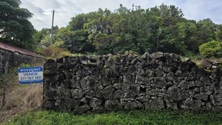 Terreno em Funchal