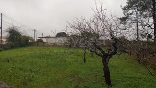 Land for sale in Alcobaça, Portugal — €42,000
