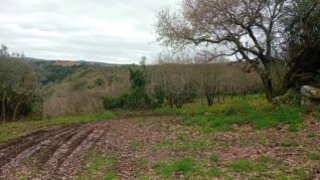 Land for sale in Mafra, Portugal — €265,000
